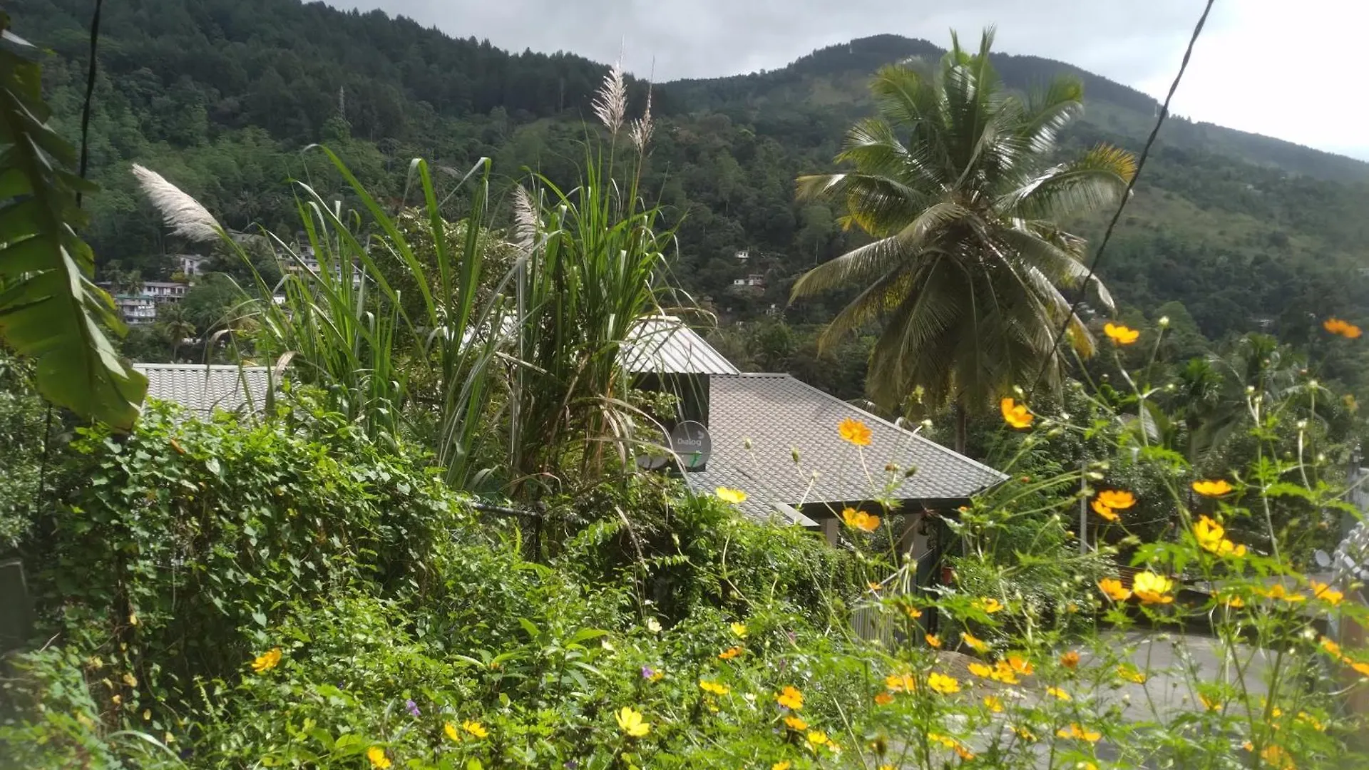 Homestay Jayathmaguest Apartment Peradeniya